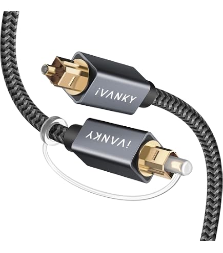 Amazon.com: DH Labs Glass Master Toslink Optical Cable 1.0m